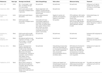 Lyme Endocarditis as an Emerging Infectious Disease: A Review of the Literature